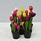 real touch flowers
